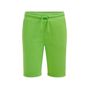 Kalhoty WE Fashion zelená