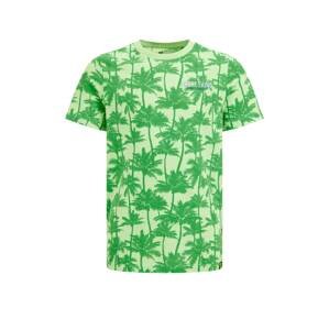 Tričko WE Fashion zelená / pastelově zelená / černá / bílá