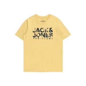 Tričko 'BECS' Jack & Jones Junior hořčicová / oranžová / černá / bílá
