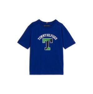 Tričko Tommy Hilfiger královská modrá / zelená / černá / bílá