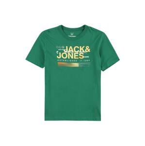 Tričko Jack & Jones Junior světle žlutá / tmavě zelená / bílá