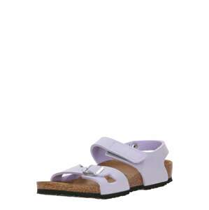 Sandály 'Colorado' Birkenstock šeříková