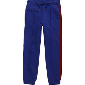 Kalhoty Tommy Hilfiger modrá / červená / černá / bílá