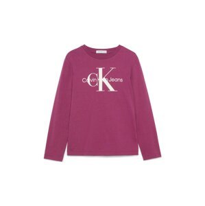 Tričko Calvin Klein Jeans krémová / tmavě fialová