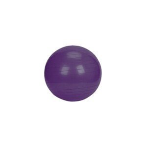 Athletic24 Gymnastický míč PLATINIUM Classic 65 fialový