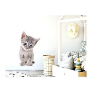 Pastelowe Love Nálepka na zeď - zvířátka - koťátko Velikost: malá