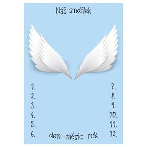 ELIS DESIGN Milníková deka na focení miminek Andělská křídla modrá varianta: bez jména miminka
