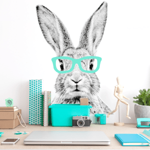 DEKORACJAN Samolepka na zeď - králík v brýlích Velikost: M, Barva doplňku: žlutá
