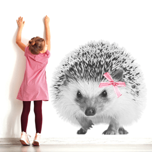 DEKORACJAN Samolepka na zeď - ježek s mašličkou Velikost: L