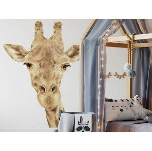 DEKORACJAN Nálepka na zeď - Žirafa rozměr: S
