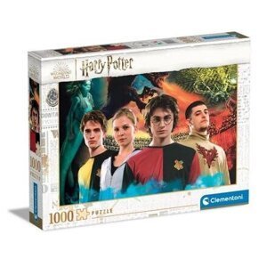 Puzzle 1000 dílků - Harry Potter 2
