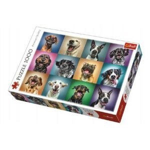Puzzle Legrační psí portréty 1000 dílků 68,3x48cm v krabici 40x27x6cm