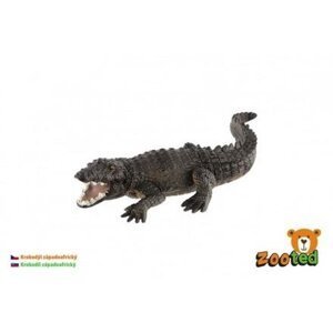 Krokodýl západoafrický zooted