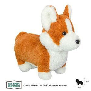 Wild Planet - Welsh corgi štěně plyš