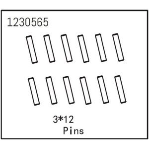 Pins 3*12 (12) RC auta IQ models