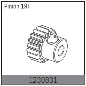 1230831 - Motor Pinion 19T RC auta IQ models
