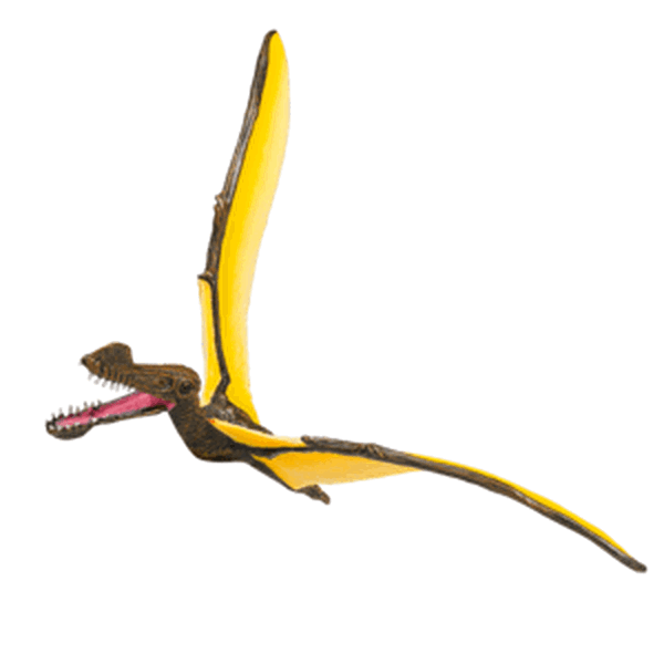 Mojo Tropeognathus