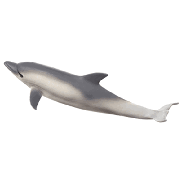 Mojo Delfín