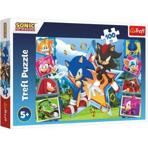TREFL PUZZLE Ježek Sonic (Sonic the Hedgehog) 41x27cm 100 dílků skládačka