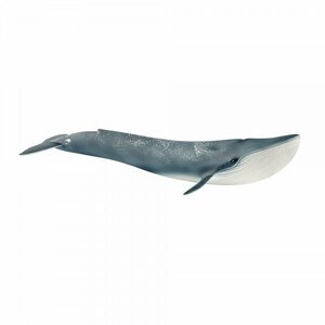 Dudlu Modrá velryba