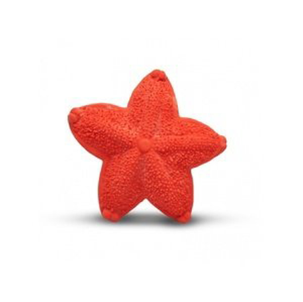 Lanco - Mořská hvězdice