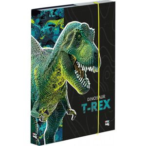 Oxybag Box na sešity A4 Premium Dinosaurus