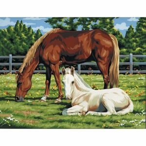 Creatoys Malování na plátno 28 x 35cm Koně