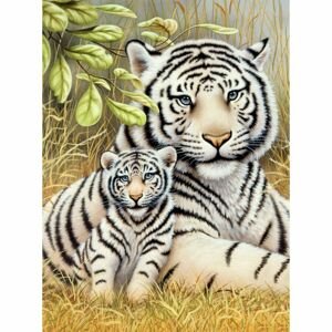 Creatoys Malování 22 x 30cm Bílí tygři