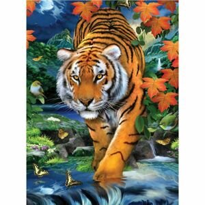 Creatoys Malování 22 x 30cm Tygr