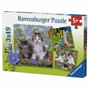 Ravensburger Puzzle Premium 80465 Koťata 3x49 dílků