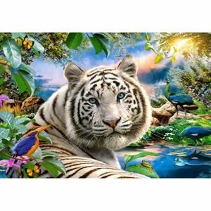 Puzzle Castorland 1500 dílků - Tygr
