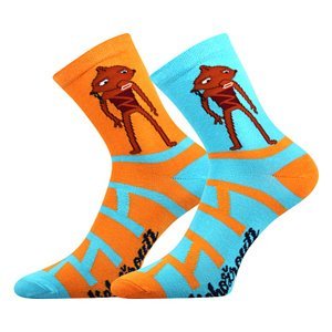 Dětské ponožky Boma - Lichožrouti, Rezek Barva: Mix barev, Velikost: 33-38