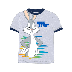 Looney Tunes - licence Chlapecké tričko - Looney Tunes 5202789, šedý melír Barva: Šedá, Velikost: 98