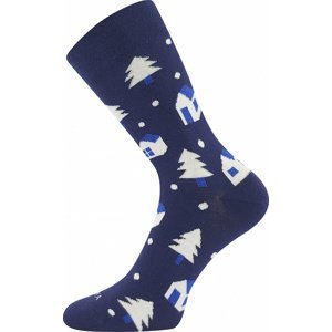 Dětské ponožky Lonka - Damerryk, domečky a stromečky, modrá Barva: Modrá, Velikost: 30-34