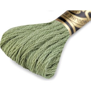 Vyšívací příze DMC Mouliné Spécial Cotton Varianta: 3052 Spinach Green, Balení: 1 ks