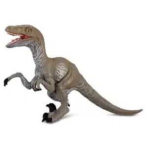 Velociraptor