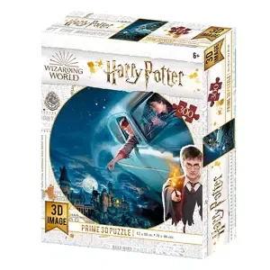 Puzzle 3D Harry a Ron let nad Bradavicemi 300 dílků