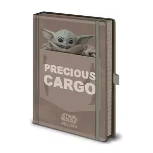 Zápisník Star Wars: Mandalorian - Precious Cargo