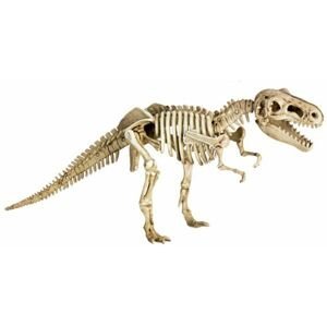 Spiegelburg Excavation kit T-Rex T-Rex World