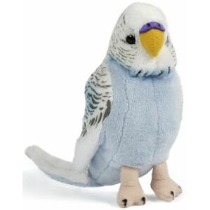 Living Nature Budgerigars – Blue