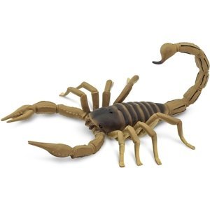 Safari Scorpion
