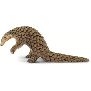 Safari Pangolin