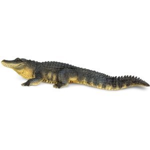 Safari Alligator