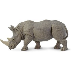 Safari White Rhino