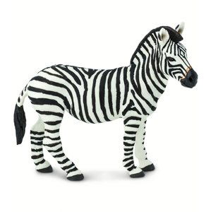 Safari Zebra