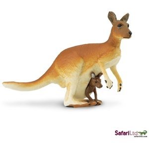 Safari Kangaroo with Baby