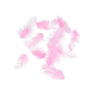 Peříčka Titanum 10 g - růžová neon