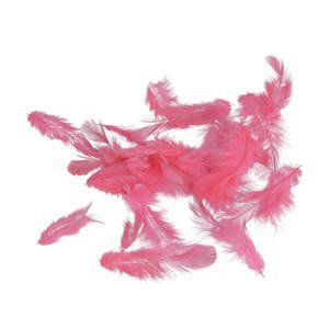 Peříčka Titanum 10 g - růžová neonová