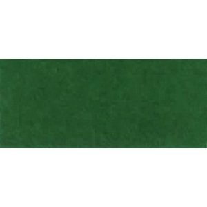 Heyda Fotokarton 50 x 70 cm 300 g/m2 - 59 tmavě zelený