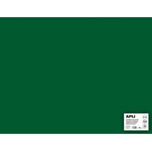 Barevný papír Apli 50x65 cm 170g - tmavě zelený